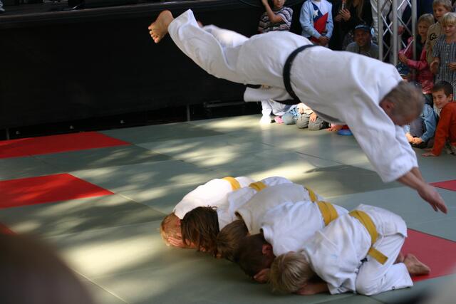 Die Judo-Sparte ist seit 1961ein Klassiksport im Verein  | Foto: BW Buchholz