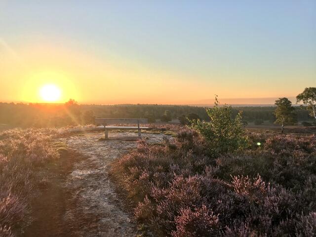 Sonnenaufgang über dem Brunsberg | Foto: Ulrike Wüstemann aus Eyendorf