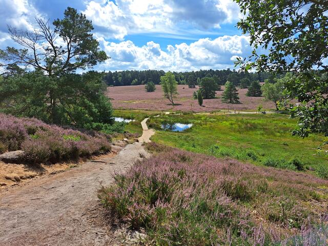 Landschaft im Büsenbachtal | Foto: Martina Lemm aus Stelle
