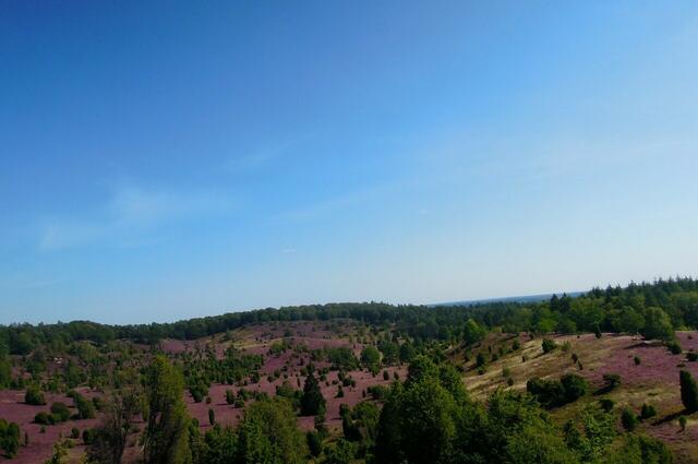 Totengrund | Foto: Jürgen Persiel aus Wulfsen