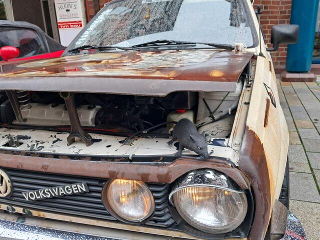 Unter der Haube hat das Rat-Car Artgenossen zu Besuch | Foto: Anika Werner