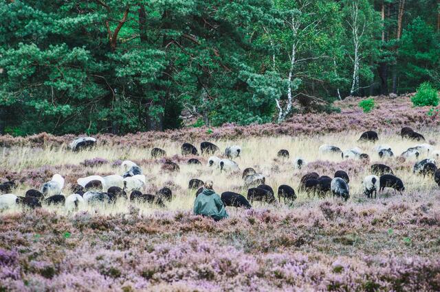 Foto: Jannik Schacht