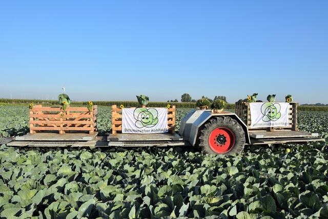 Die Besucher der Kohltage dürfen sich auf ein buntes Programm freuen | Foto: Kreis Dithmarschen