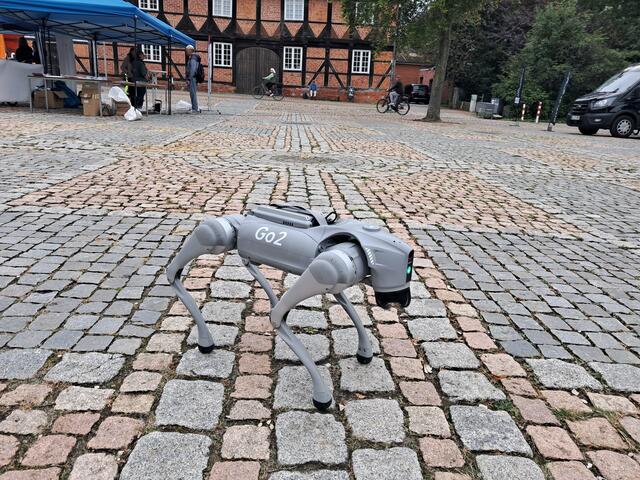 Der Roboterhund könnte zum Beispiel auch eingesetzt werden, um Barriere in Winsen zu erkennen | Foto: Anika Werner