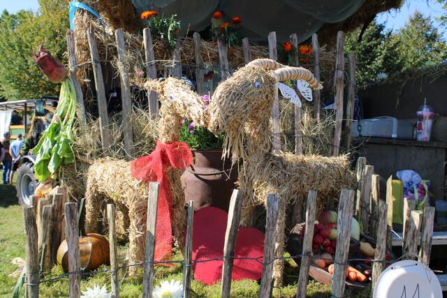 Ziegen aus Stroh am Erntewagen | Foto: pöp