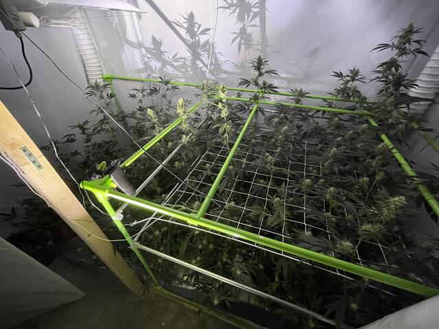 Die Indoor-Pflanzung war gut ausgestattet | Foto: Polizei