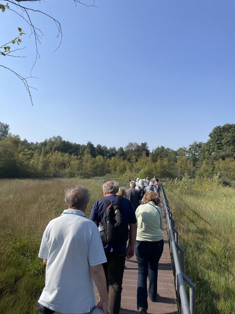 Bei der Moorwanderung führten Ranger durch das Gebiet

  | Foto: Samtgemeinde Elbmarsch