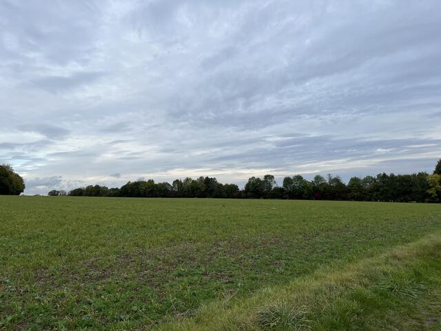 Von Hittfeld nach Emmelndorf fahrend: Das Feld rechts von der Hittfelder Landstraße soll von "Landwirtschaftlicher Nutzung" in "Wohnbaufläche" geändert werden | Foto: sra