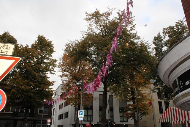 Pinke BHs schmücken diesen Oktober die Bahnhofstraße in Buxtehude | Foto: Pauline Bellmann