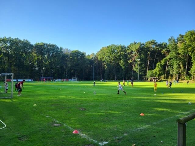 Das Waldstadion in Wenzendorf liegt idyllisch und wird dank gemeinsamer Vereinskraft vor allem für die Jugendfußballmannschaften erhalten | Foto: Lüning