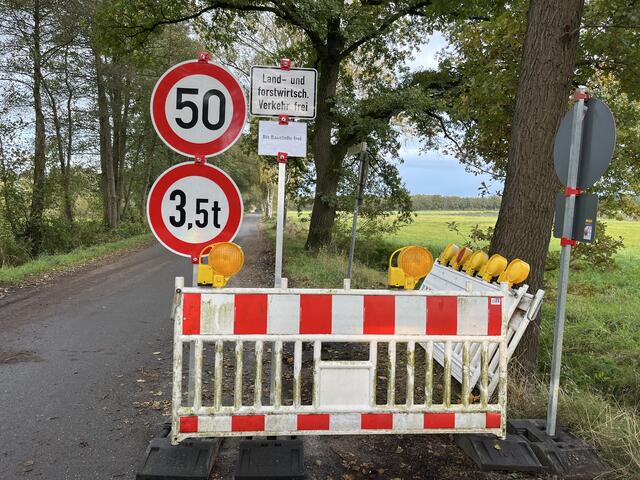 Wenn nicht an der Straße gearbeitet wird, ist der Horster Damm einspurig befahrbar | Foto: sra