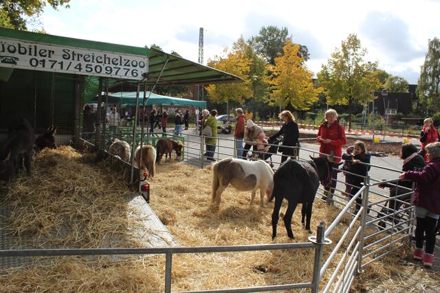 Streichelzoo statt Pferdehandel | Foto: sb