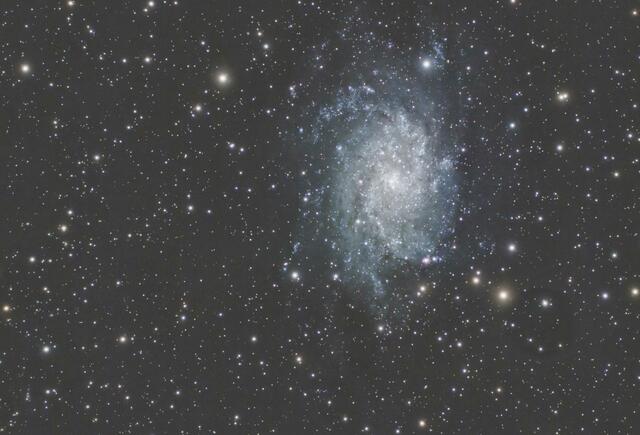 M33, NGC598, Dreiecksgalaxie, auch Triangulum Feuerrad oder Pinwheel Galaxie genannt.
Entdecker: Giovanni Batista Hodierna (1654) Entfernung 2.724 Mio Lichtjahre | Foto: Frank Grubitzsch