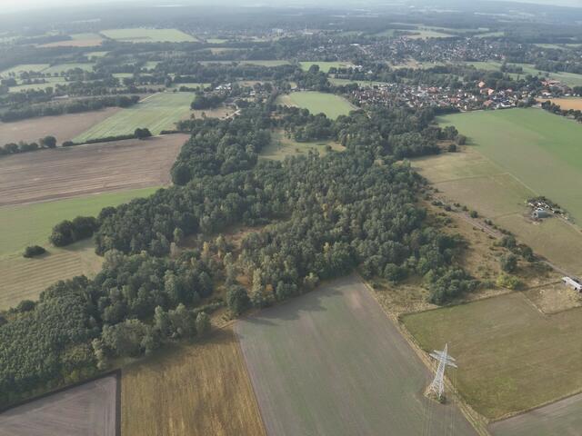 Die geplanten Pflegemaßnahmen am Langenberg bei Wulfsen stellt der Landkreis bei einer Exkursion vor | Foto: Landkreis Harburg