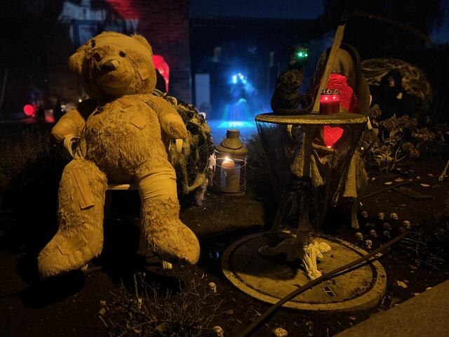 "Teddy" hat schon einiges erleben müssen | Foto: sra