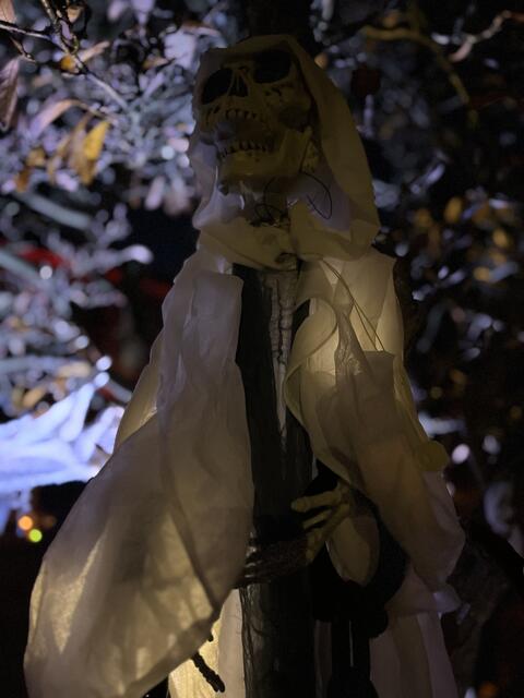 Foto: sra