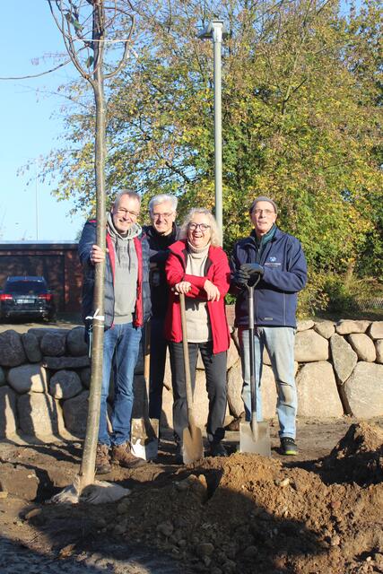 Mit neu gepflanzter Linde und neuer Steinmauer (v. li.) Thomas Söller, Ralf Greve, Ute Schwermer-Vietheer und Holger Haettich vom Verein Vierdörfer Dönz | Foto: pm