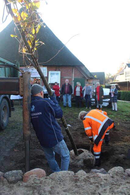 Bei der Pflanzung der neuen Linden | Foto: pm