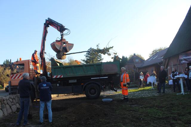 Bei der Pflanzung der neuen Linden | Foto: pm