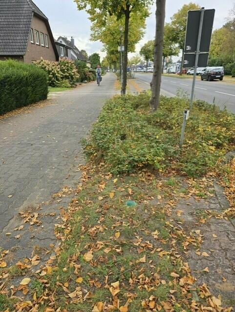 Fast unauffällig sind ab und zu solche Löcher für Fahnenmaste zu sehen - am Straßenrand aber auch im heimischen Garten. Sie sind eine große Gefahr für Igel | Foto: Eckhardt Pansegrau