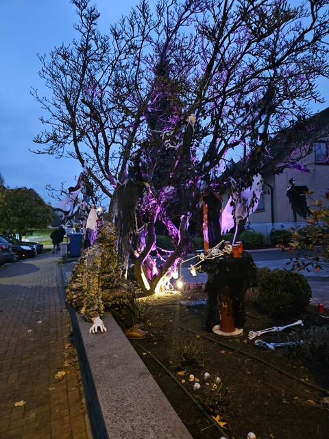 Die Partnerin der Nonne versteckte sich im Gebüsch und zwischen der Deko - für den Überraschungsmoment | Foto: Von Borstel