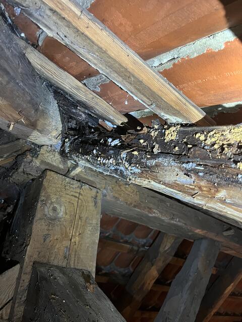 Die Schäden sind offensichtlich: Hier ist über Jahre Wasser eingedrungen, sodass das Holz zu faulen begann | Foto: pöp