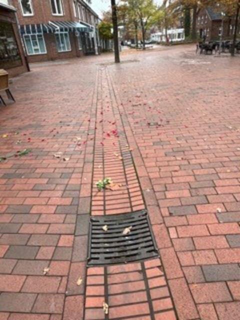 Foto: Omas gegen Rechts