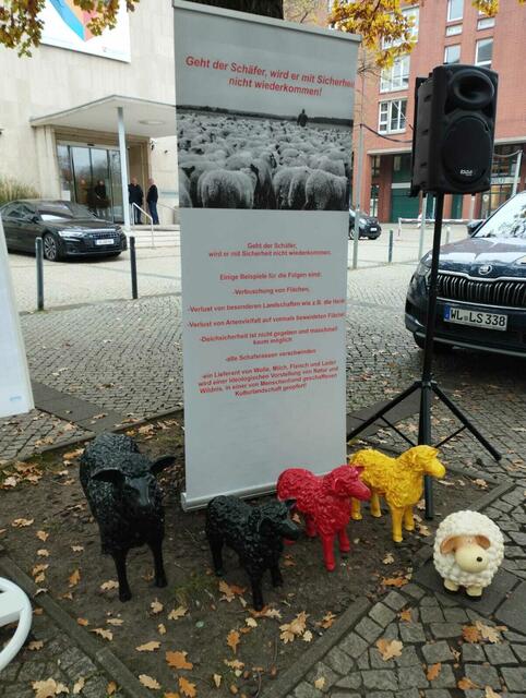 Foto: Förderverein der Deutschen Schafhaltung e.V.