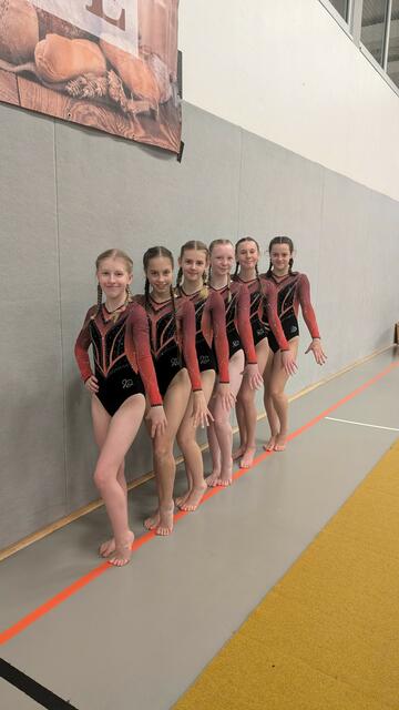 Das Siegerteam des TSV | Foto: TSV Winsen