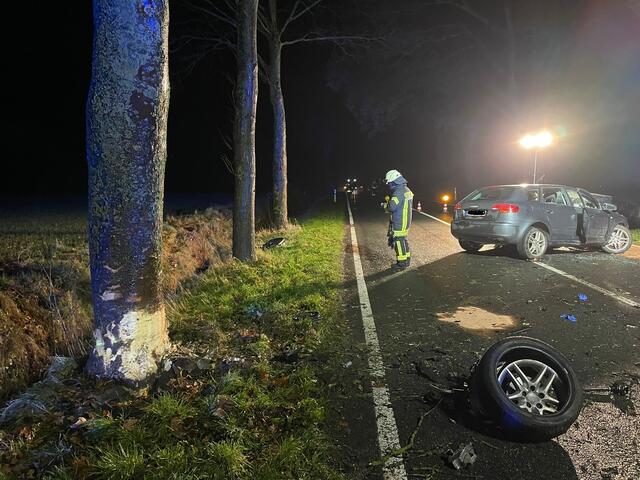 Der Baum, gegen den das Auto prallte | Foto: Polizei