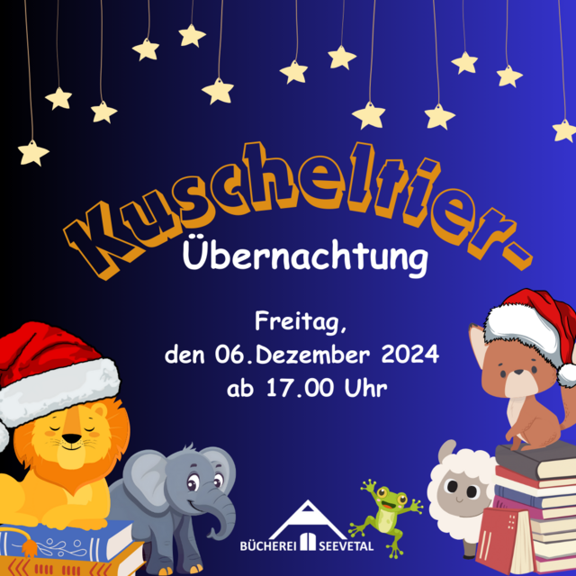 Das Plakat zur Veranstaltung | Foto: Gemeinde Seevetal