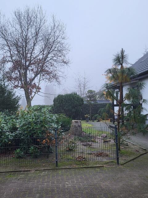 Glatt abgeschnitten, alles sauber hinterlassen - die Arbeit des Bauhofes war vorbildlich | Foto: sh