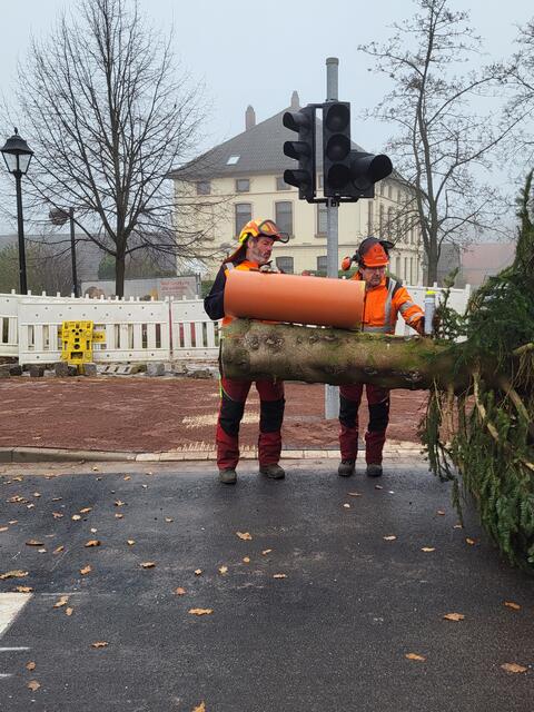 Kurz Maßnehmen - so groß ist das Rohr, in das der Stamm hineinpassen muss | Foto: sh