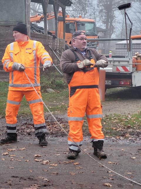 Nichts wird dem Glück überlassen, während des Sägens ist die Tanne von mehreren Seiten gesichert | Foto: sh