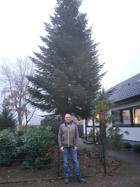 Ein letztes Bild mit Baum: Patrick Danzer und seine Familie haben den Baum den Tostedtern als Weihnachtsbaum gespendet | Foto: sh