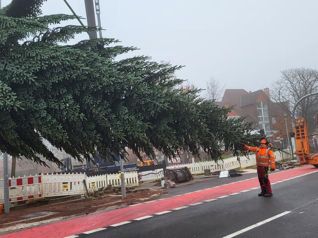 Der Baum hängt über der Baustelle am Kran | Foto: sh