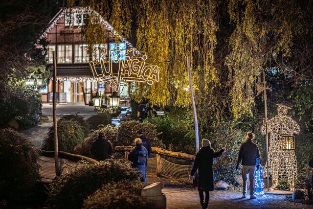 Das Wildpark-Restaurant in der Vorweihnachtszeit: Magisch erleuchtet | Foto:  D. Hoppe