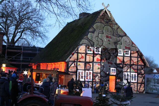 Auf das Reetdach-Gebäude auf dem "Josthof"-Gelände wurden weihnachtliche Impressionen projiziert | Foto: ce