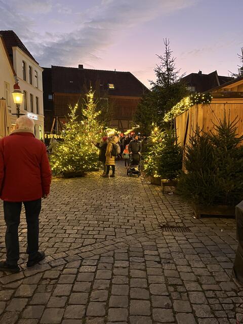 Leuchtende Bäume machen sorgen für eine glanzvolle Stimmung