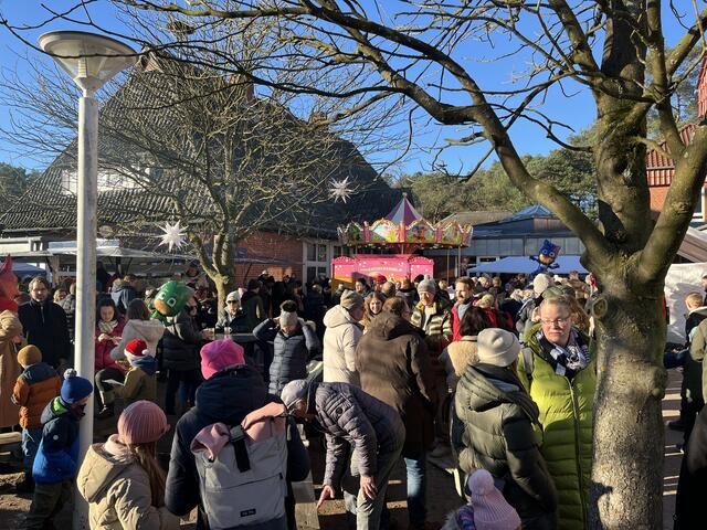 Viele Besucher aus Seevetal und der Umgebung kamen zum Weihnachtsmarkt in die Horster Grundschule  | Foto: sra