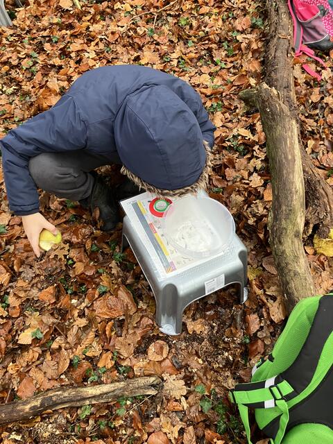 Foto: Bernard Wegner