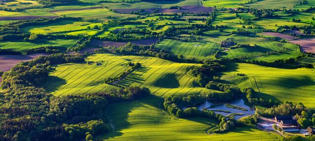 Das Spiel von Licht und Schatten zwischen den sanft geschwungenen Hügeln der Holsteinischen Schweiz | Foto: Martin Elsen