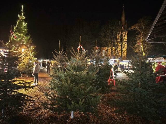 Auch Weihnachtsbäume wurden auf dem Markt verkauft | Foto: Bürgerstiftung Hanstedt