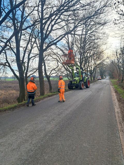 Gartenwerker bei der Arbeit am Straßenrand. Die Gemeinde bildet nun auch Werker aus, die einen Förderbedarf haben | Foto: Gemeinde Seevetal