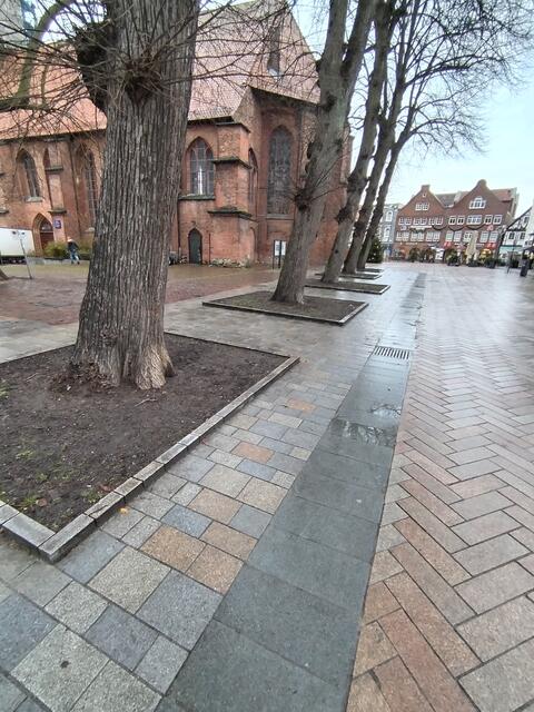Die Baumscheiben der Bäume vor der Kirche St. Marien sind die einzigen offenen Flächen in den beiden neuen Bauabschnitten, zusammen mit zwei kleinen Flächen zu Anfang der Fußgängerzone.
Das sind leider zusammen nur 70-80 qm. | Foto: Rüdiger Störtebecker