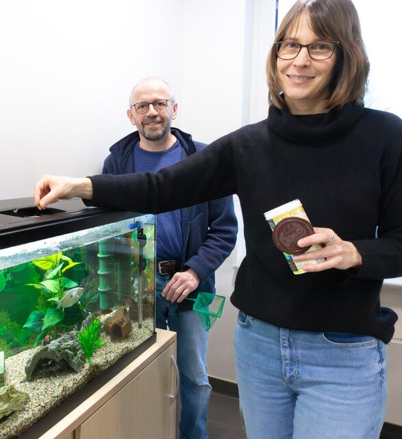 Veterinärin Johanna Meyer und ihr Kollege Christoph Kerth haben im Kreishaus ein Aquarium für gerettete Fische eingerichtet, die weitervermittelt werden | Foto: Christian C. Schmidt/LK Stade