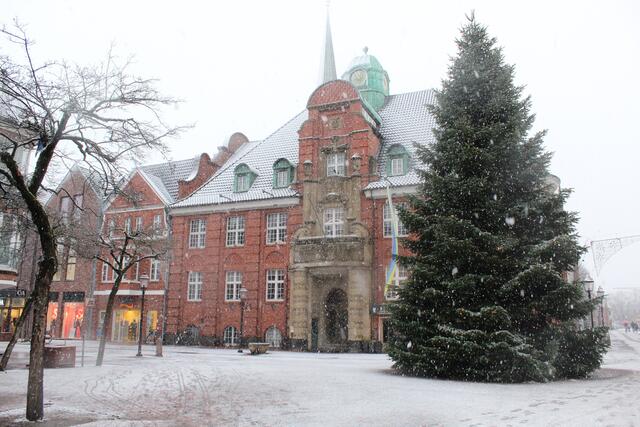 Das Rathaus, noch mit großem Tannenbaum | Foto: Pauline Bellmann