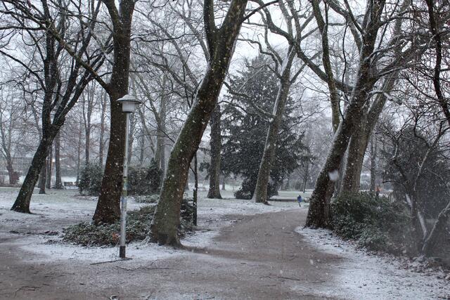 Auch der Stadtpark hat ein wenig Schnee abbekommen | Foto: Pauline Bellmann