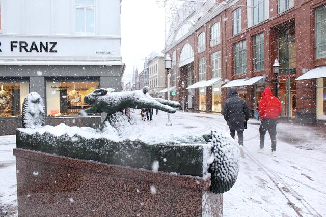 Auch Has und Igel frieren im Schnee | Foto: Pauline Bellmann