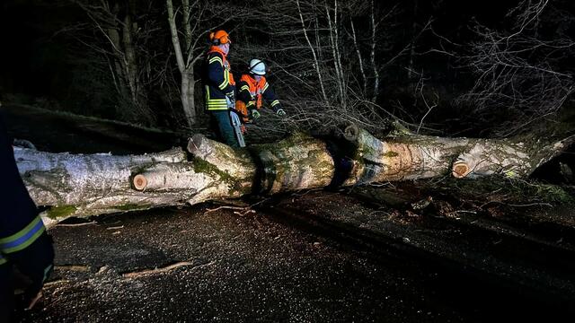 Foto: Feuerwehr Seevetal